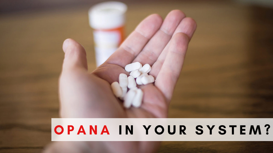 Opana in your system
